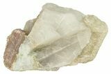 Watermelon Tourmaline (Elbaite) in Quartz - Brazil #257897-1